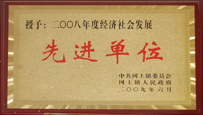 2008年(nián)度經(jīng)濟社會發(fā)展先進(jìn)單位