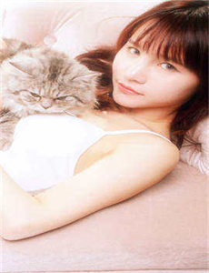 chengshi
